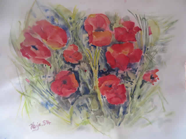 mohn